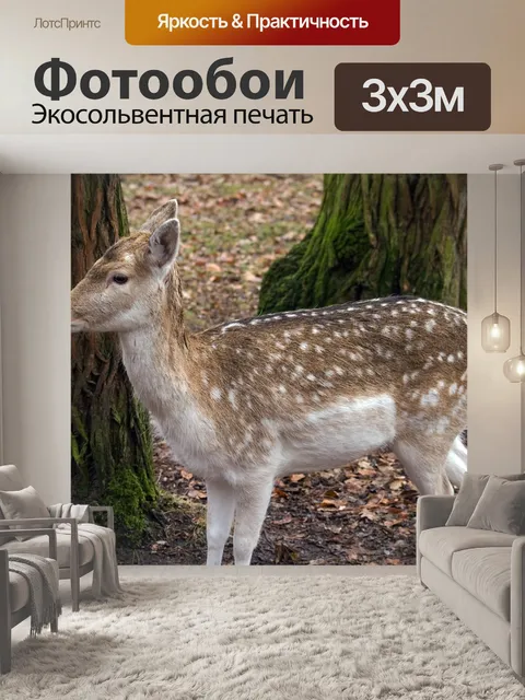 Фотообои Олень