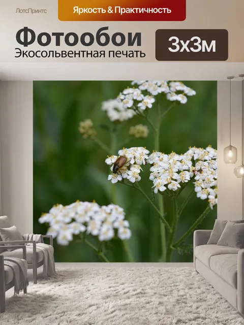 Фотообои Цветы