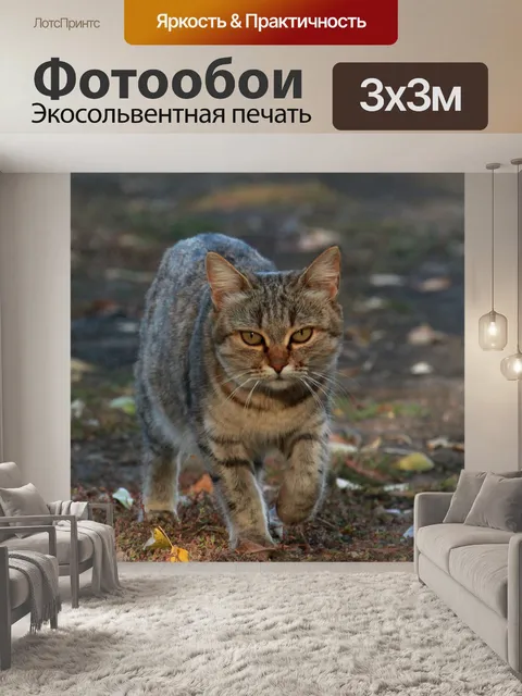 Фотообои Кошка