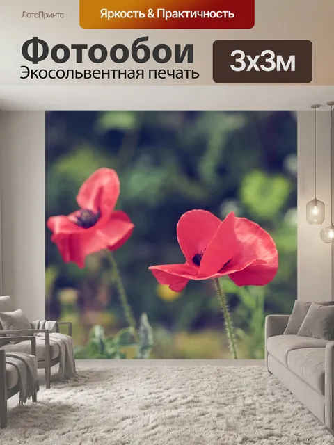 Фотообои Цветы мака