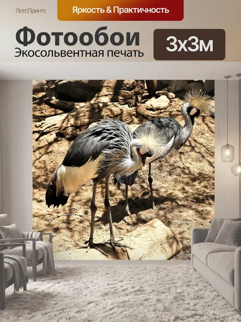Фотообои Птицы