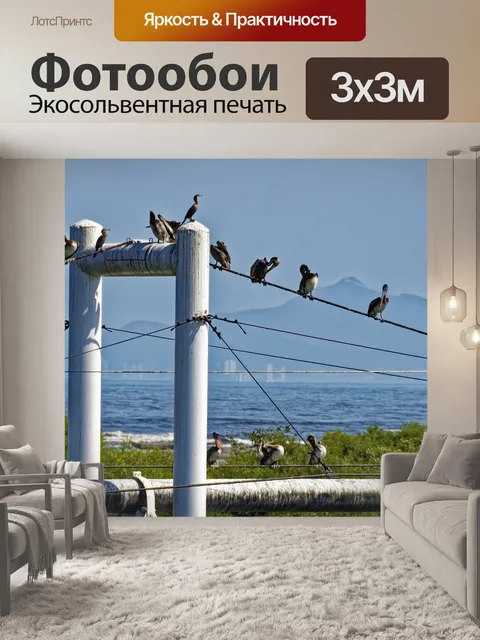 Фотообои Птицы