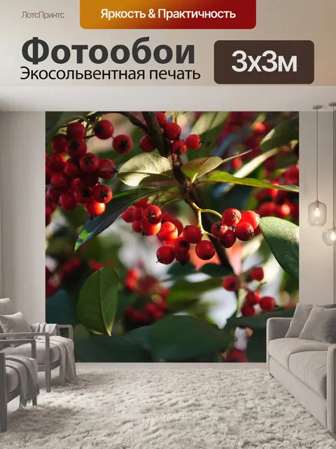 Фотообои Природа