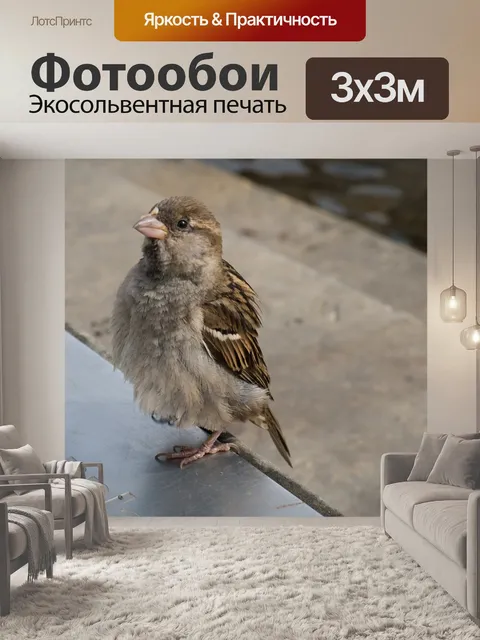 Фотообои Птица