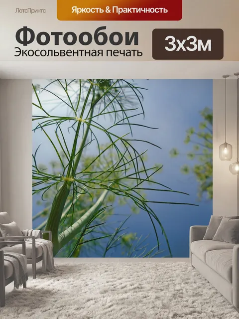 Фотообои Укроп