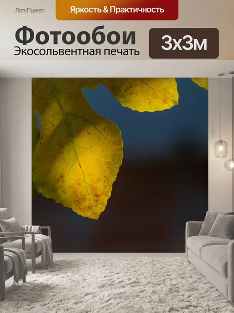 Фотообои Осень