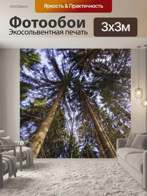Фотообои Лес