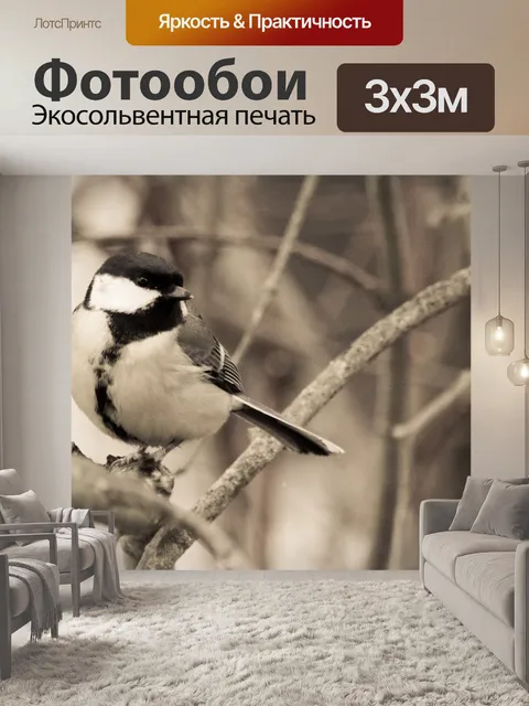 Фотообои Большая синица