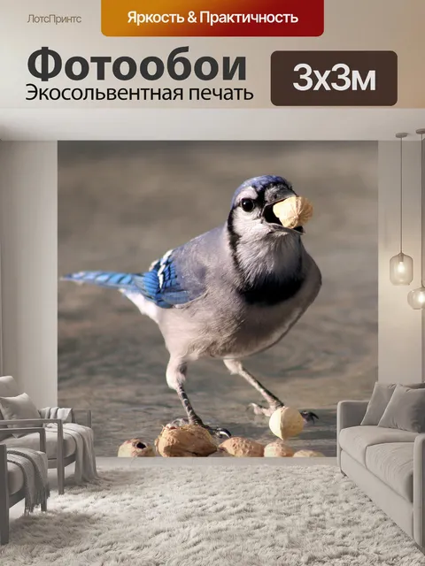 Фотообои Птица