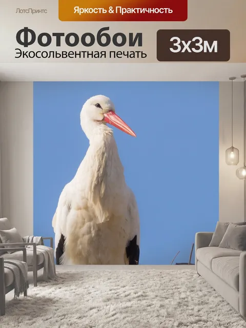 Фотообои Аист