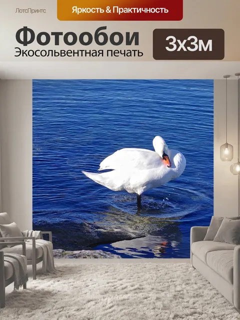 Фотообои Птица