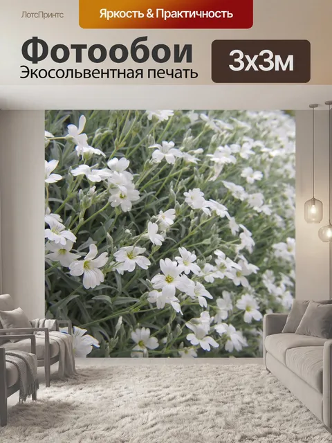 Фотообои Цветы