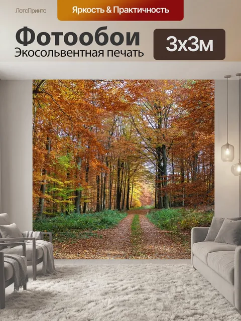 Фотообои Осенний лес