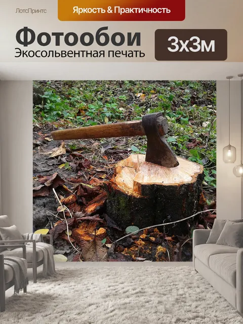 Фотообои Топор
