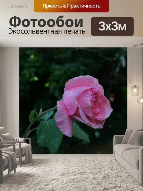 Фотообои Розы