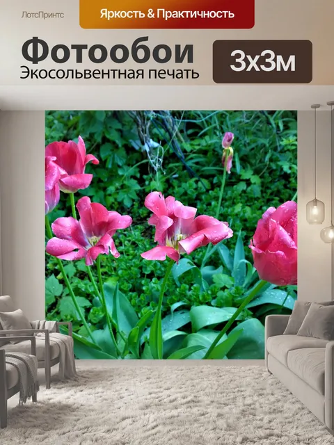 Фотообои Тюльпаны