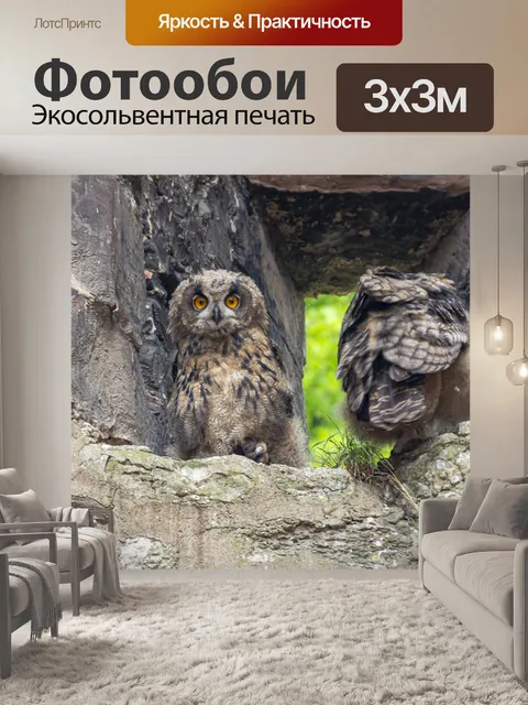 Фотообои Птица