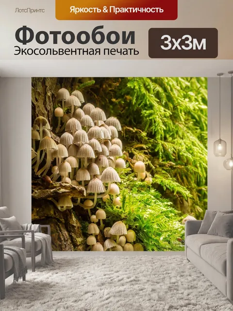 Фотообои Грибы