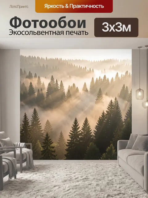 Фотообои Туманный лес в солнечных лучах