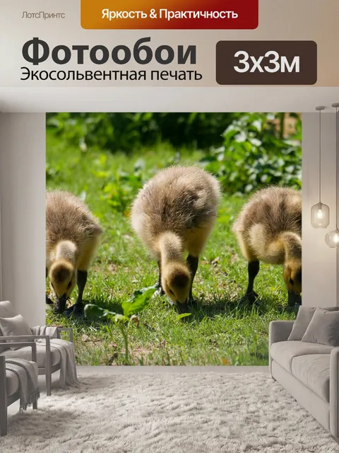 Фотообои Животное