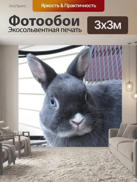 Фотообои Кролик