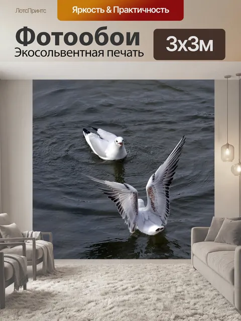 Фотообои Чайки