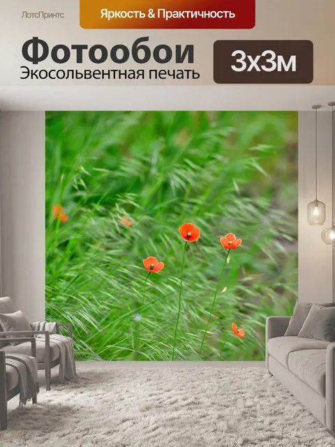 Фотообои Маки