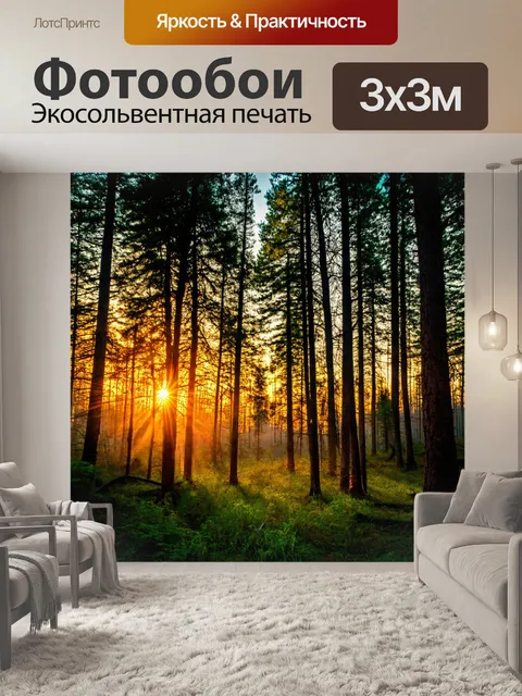 Фотообои лес с закатом, подкрадывающимся к лесу