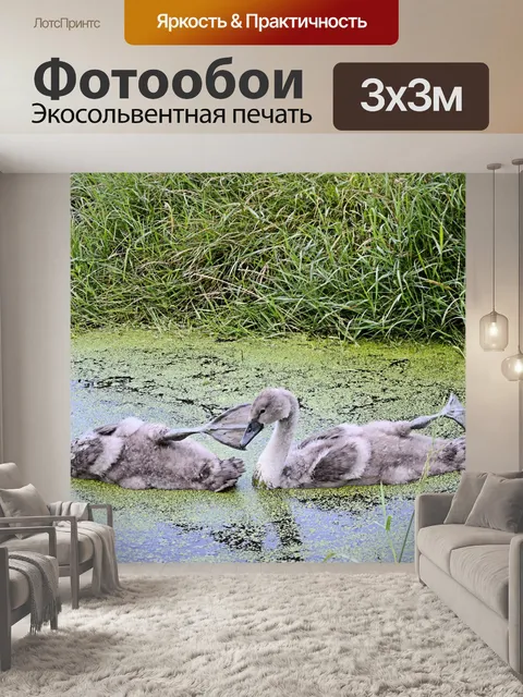Фотообои Лебеди