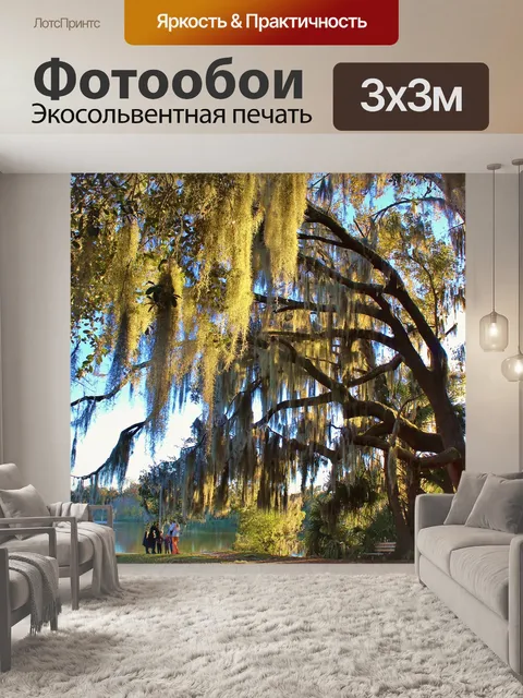 Фотообои Деревья