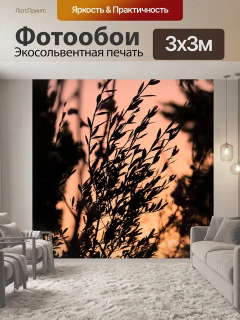 Фотообои оливковые веточки против света