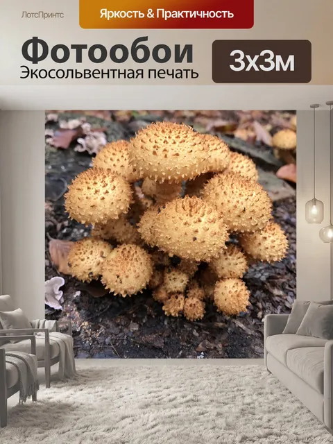 Фотообои Природа