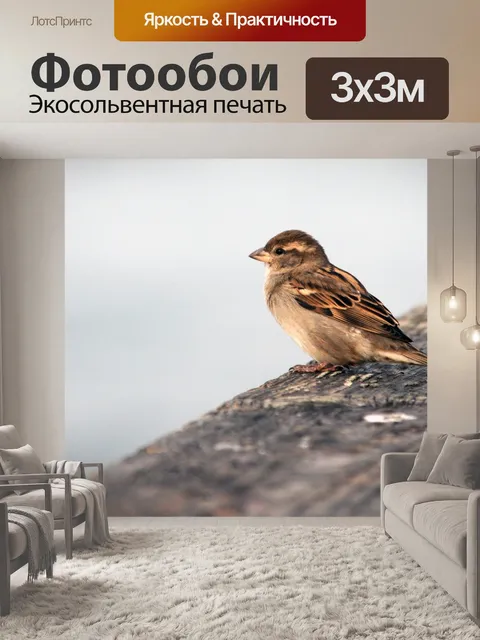 Фотообои Малый птица сидит на пирсе