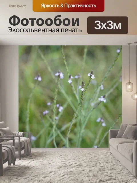 Фотообои Цветы