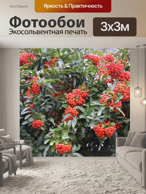 Фотообои Растения