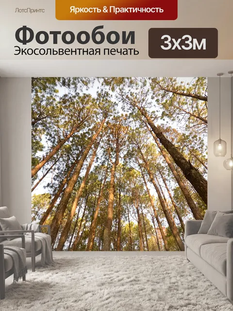 Фотообои Деревья