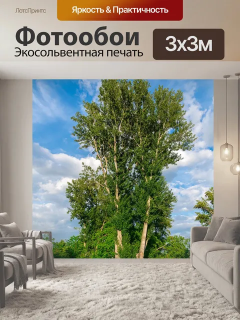 Фотообои Деревья