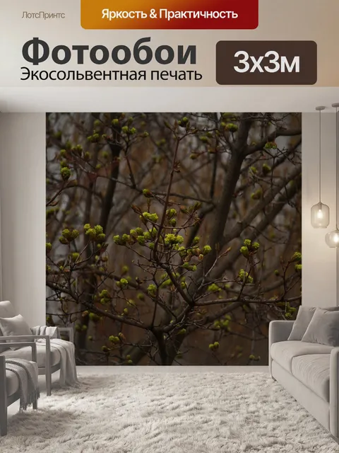 Фотообои Весна