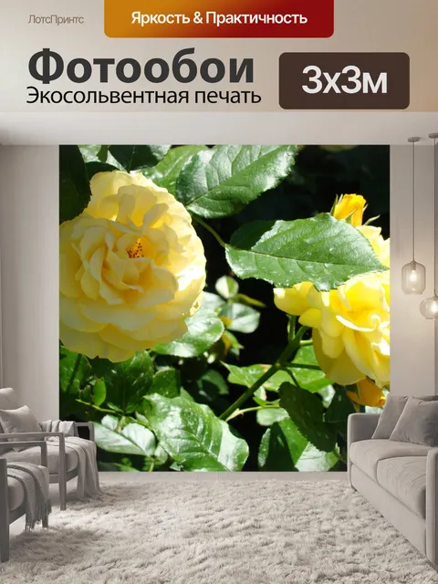 Фотообои Тень