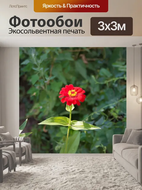 Фотообои Цветы