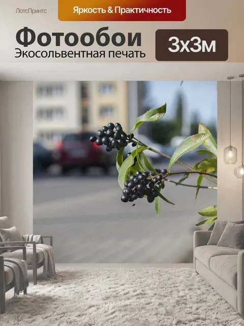 Фотообои Фрукты