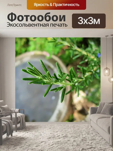 Фотообои веточка розмарина