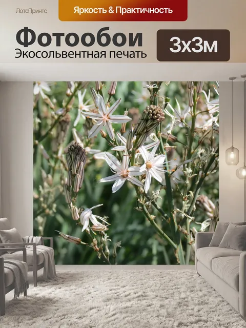Фотообои Цветы
