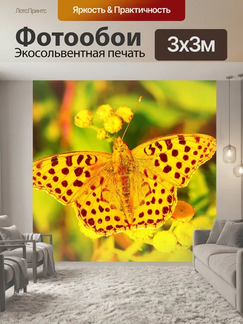 Фотообои Dostojka latonia