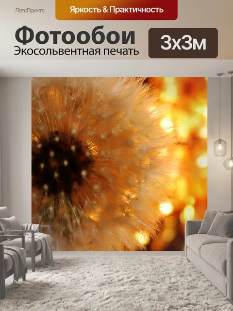 Фотообои Одуванчик