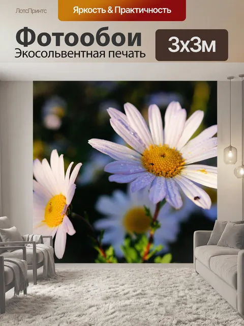 Фотообои Маргаритки