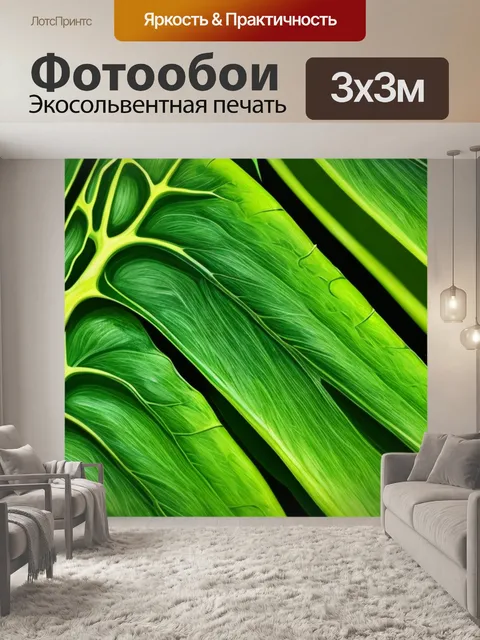 Фотообои с листом монстеры