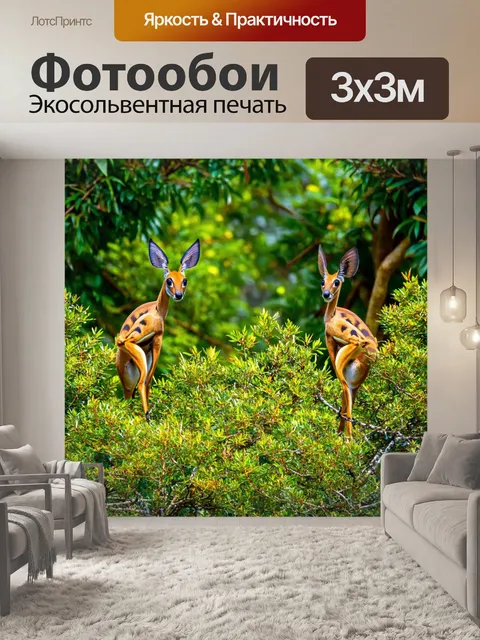 Фотообои тропические дикие животные