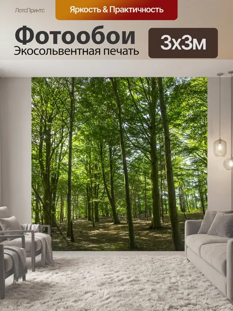 Фотообои лес