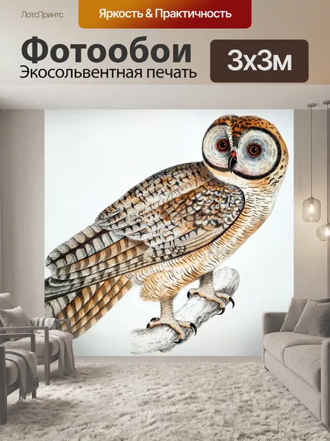 Фотообои Птица сова картина винтаж